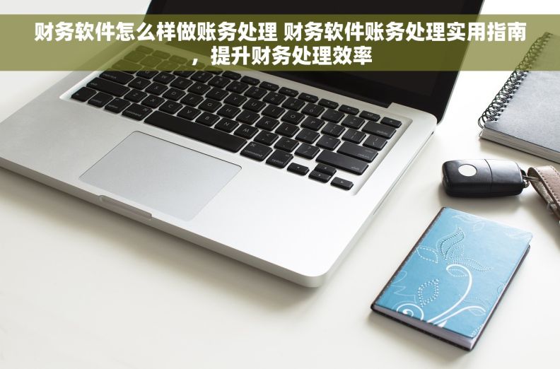 财务软件怎么样做账务处理 财务软件账务处理实用指南，提升财务处理效率