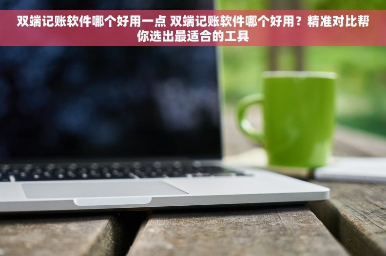 双端记账软件哪个好用一点 双端记账软件哪个好用？精准对比帮你选出最适合的工具