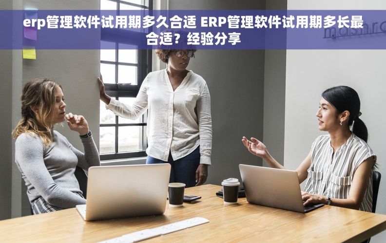 erp管理软件试用期多久合适 ERP管理软件试用期多长最合适？经验分享