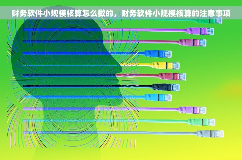 财务软件小规模核算怎么做的，财务软件小规模核算的注意事项