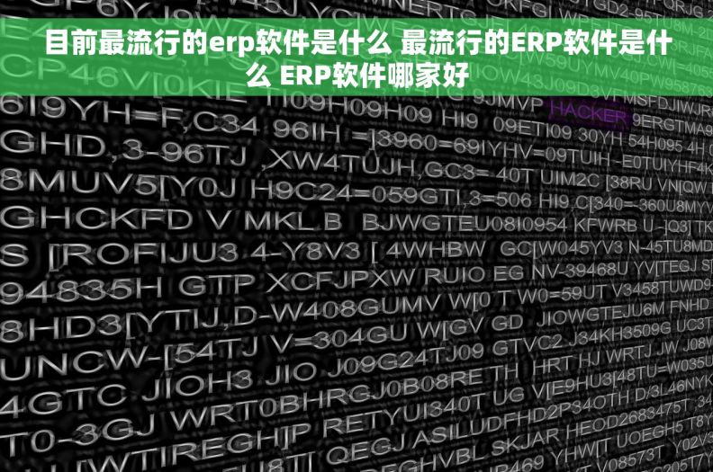 目前最流行的erp软件是什么 最流行的ERP软件是什么 ERP软件哪家好