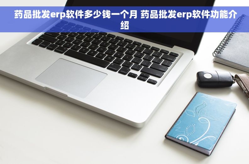  药品批发erp软件多少钱一个月 药品批发erp软件功能介绍