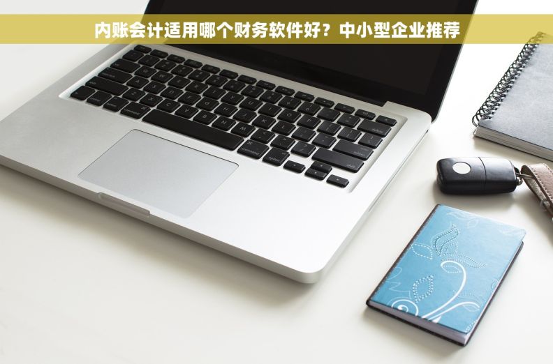 内账会计适用哪个财务软件好？中小型企业推荐