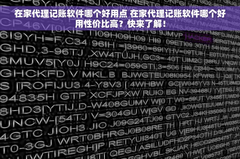 在家代理记账软件哪个好用点 在家代理记账软件哪个好用性价比高？快来了解！