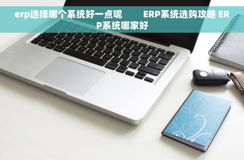 erp选择哪个系统好一点呢         ERP系统选购攻略 ERP系统哪家好