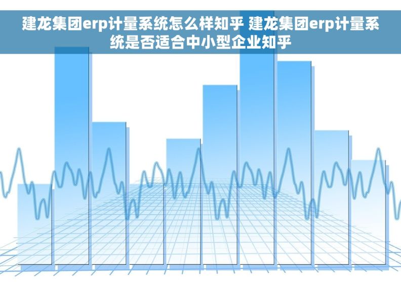 建龙集团erp计量系统怎么样知乎 建龙集团erp计量系统是否适合中小型企业知乎