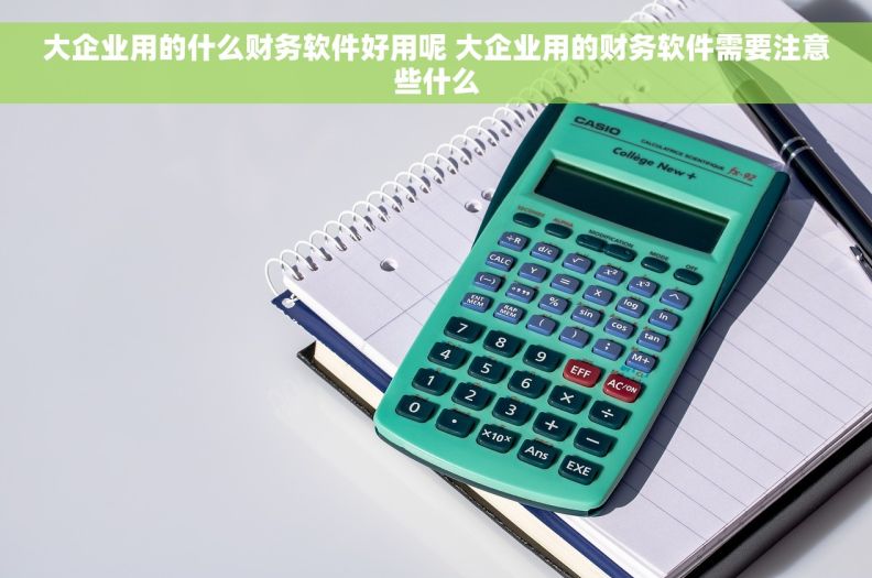 大企业用的什么财务软件好用呢 大企业用的财务软件需要注意些什么