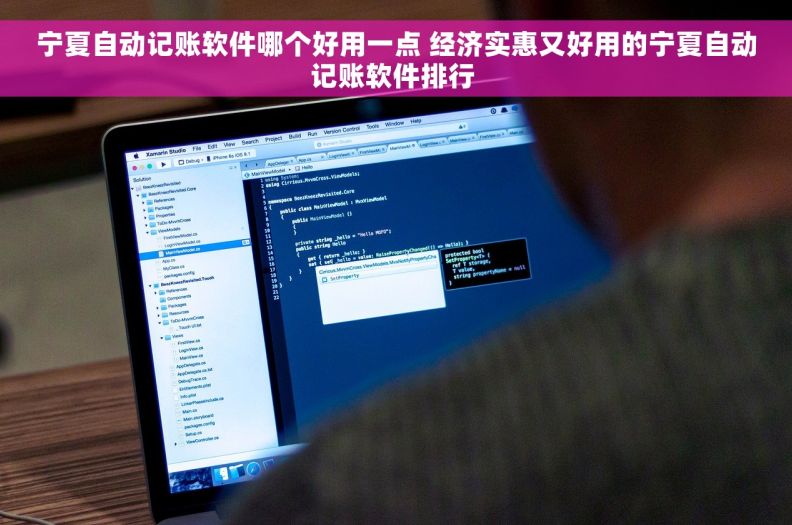 宁夏自动记账软件哪个好用一点 经济实惠又好用的宁夏自动记账软件排行 