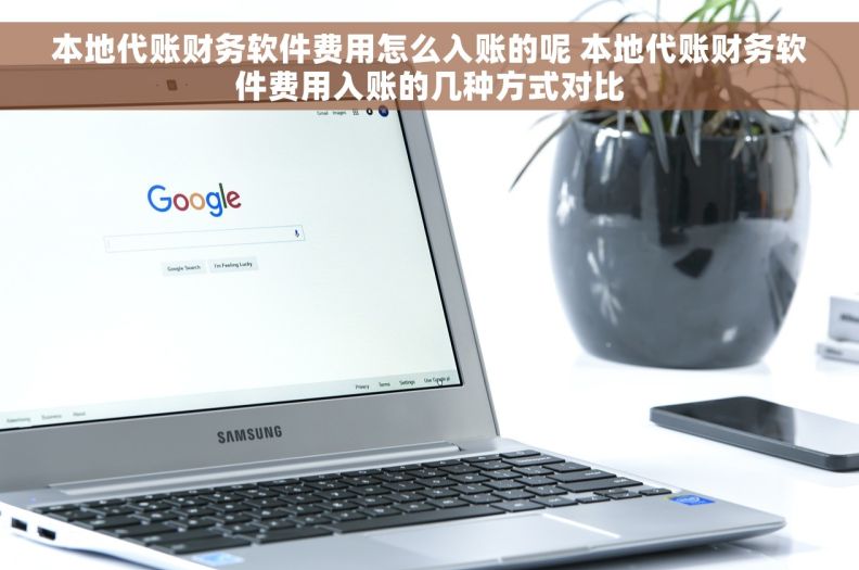 本地代账财务软件费用怎么入账的呢 本地代账财务软件费用入账的几种方式对比