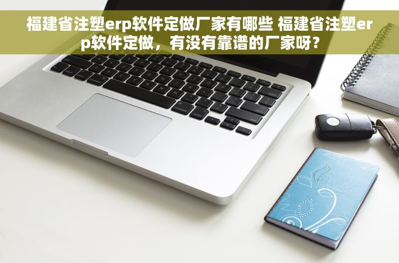 福建省注塑erp软件定做厂家有哪些 福建省注塑erp软件定做，有没有靠谱的厂家呀？