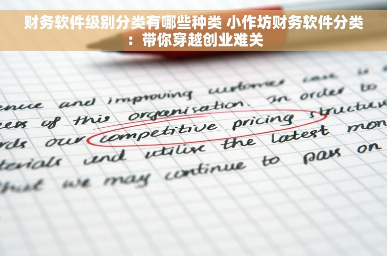 财务软件级别分类有哪些种类 小作坊财务软件分类：带你穿越创业难关