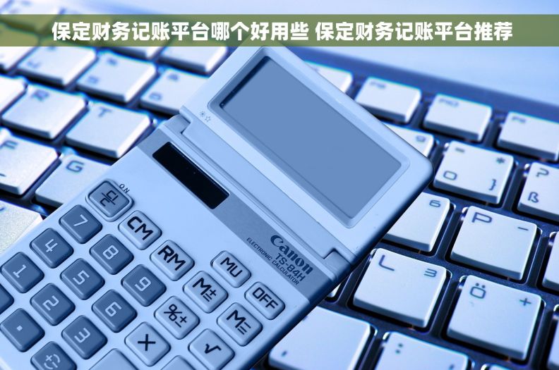  保定财务记账平台哪个好用些 保定财务记账平台推荐