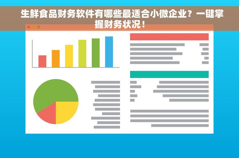   生鲜食品财务软件有哪些最适合小微企业？一键掌握财务状况！