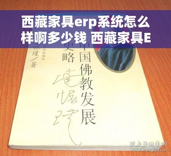 西藏家具erp系统怎么样啊多少钱 西藏家具ERP系统如何进行定制化设置？