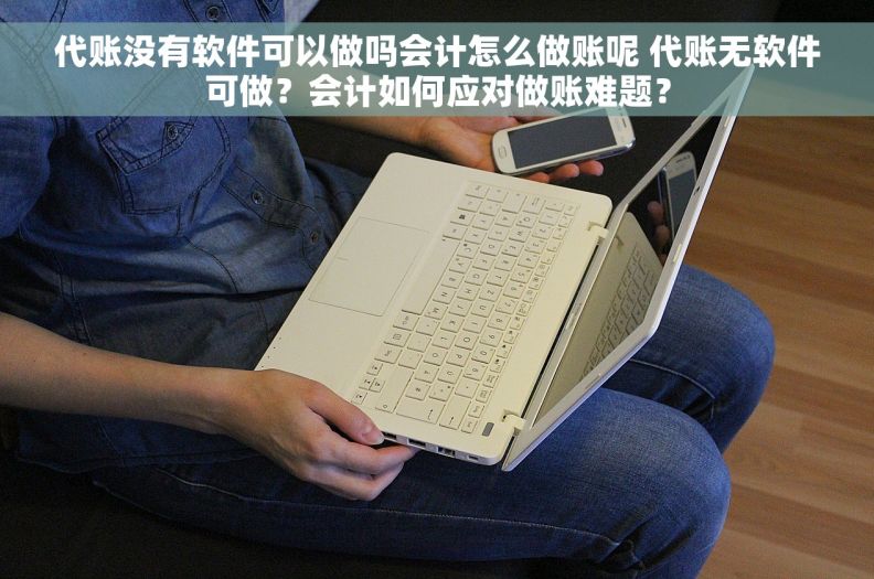 代账没有软件可以做吗会计怎么做账呢 代账无软件可做？会计如何应对做账难题？