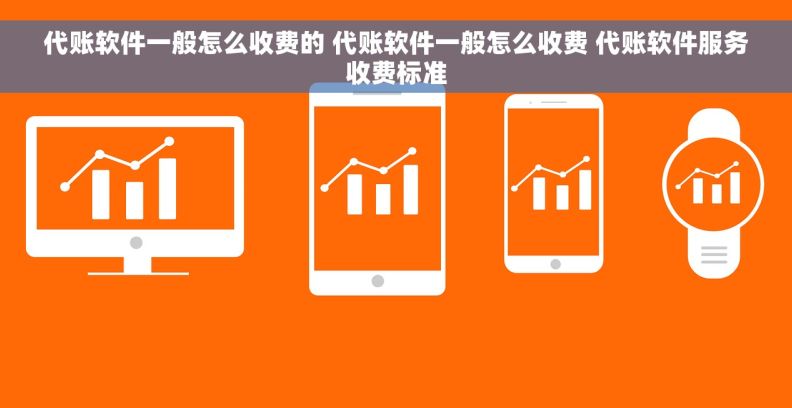 代账软件一般怎么收费的 代账软件一般怎么收费 代账软件服务收费标准