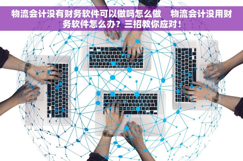 物流会计没有财务软件可以做吗怎么做    物流会计没用财务软件怎么办？三招教你应对！