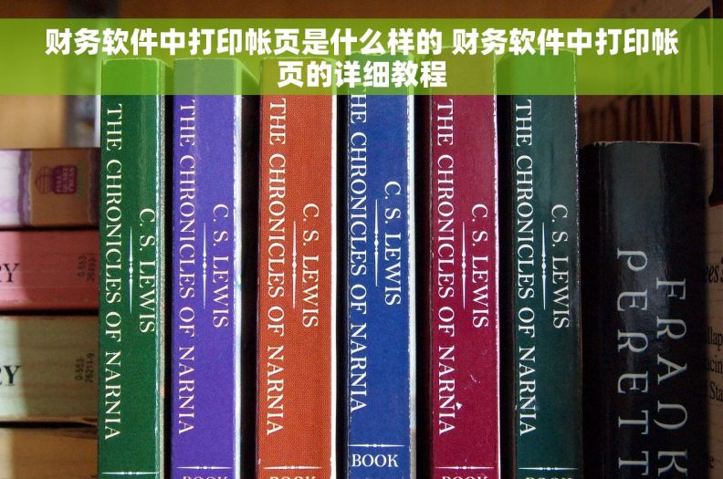 财务软件中打印帐页是什么样的 财务软件中打印帐页的详细教程