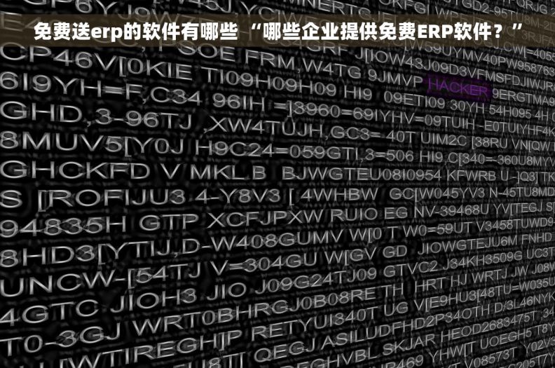 免费送erp的软件有哪些 “哪些企业提供免费ERP软件？”