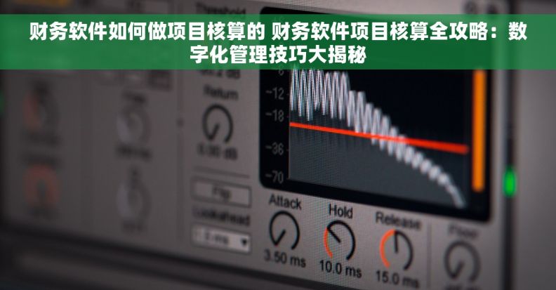 财务软件如何做项目核算的 财务软件项目核算全攻略：数字化管理技巧大揭秘