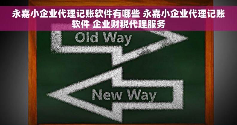 永嘉小企业代理记账软件有哪些 永嘉小企业代理记账软件 企业财税代理服务