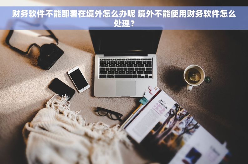 财务软件不能部署在境外怎么办呢 境外不能使用财务软件怎么处理？