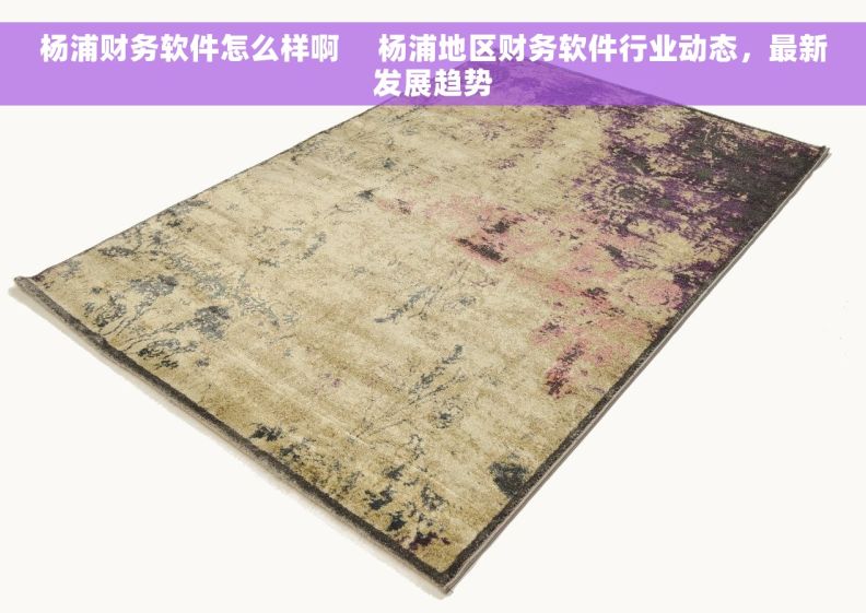 杨浦财务软件怎么样啊     杨浦地区财务软件行业动态，最新发展趋势