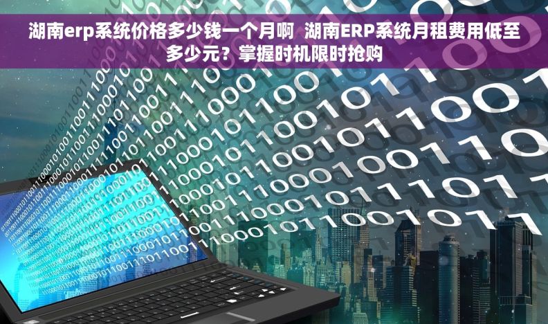 湖南erp系统价格多少钱一个月啊  湖南ERP系统月租费用低至多少元？掌握时机限时抢购