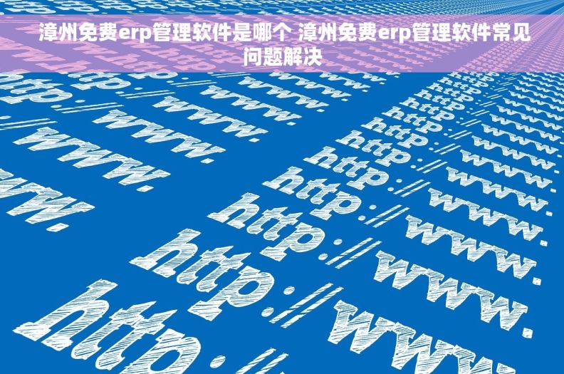  漳州免费erp管理软件是哪个 漳州免费erp管理软件常见问题解决