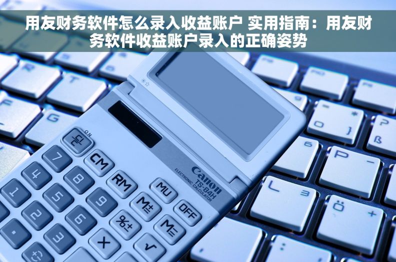 用友财务软件怎么录入收益账户 实用指南：用友财务软件收益账户录入的正确姿势