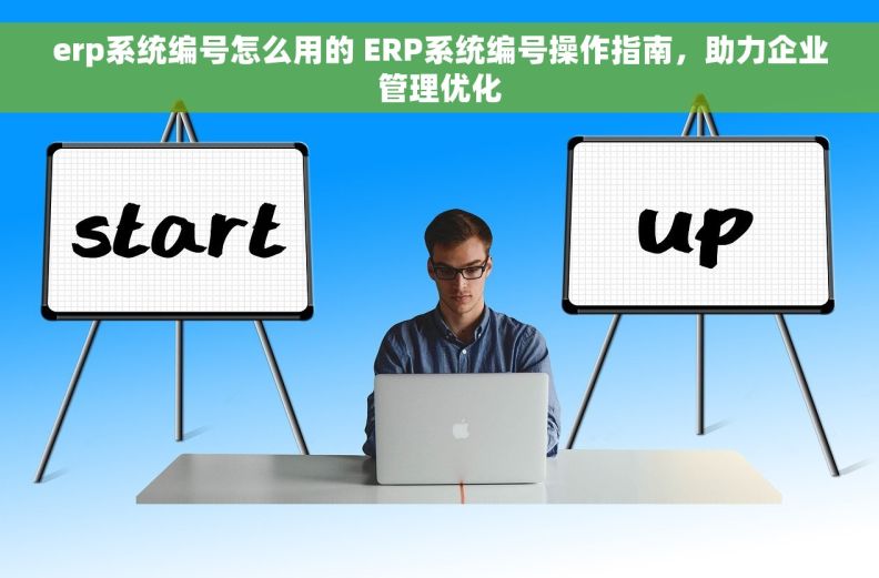 erp系统编号怎么用的 ERP系统编号操作指南，助力企业管理优化