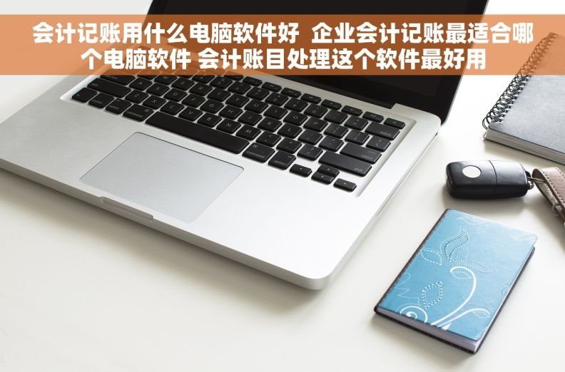 会计记账用什么电脑软件好  企业会计记账最适合哪个电脑软件 会计账目处理这个软件最好用