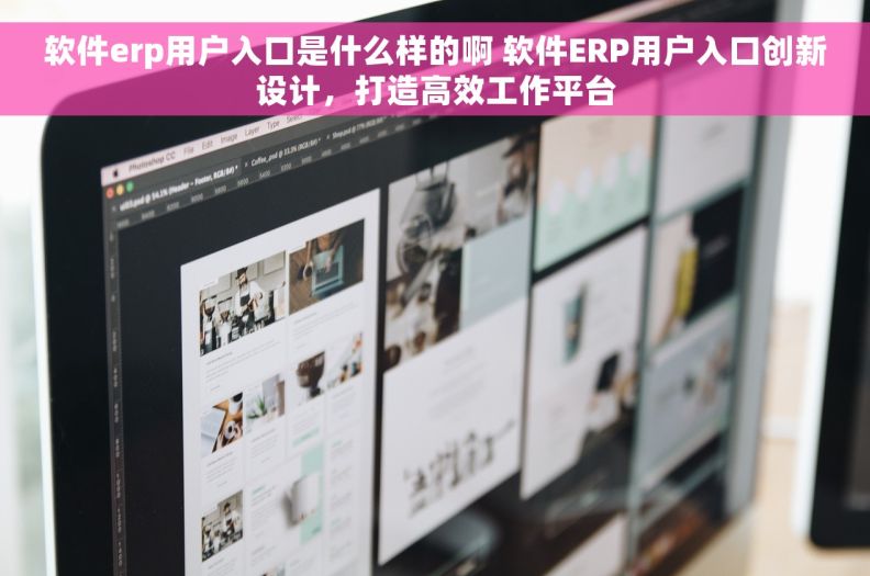 软件erp用户入口是什么样的啊 软件ERP用户入口创新设计，打造高效工作平台