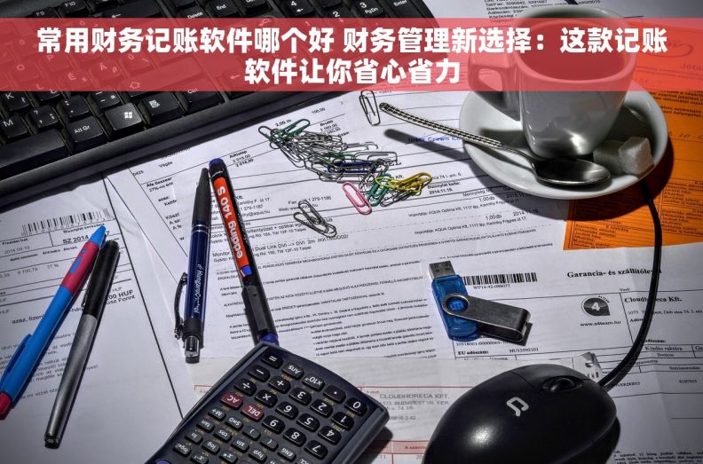 常用财务记账软件哪个好 财务管理新选择：这款记账软件让你省心省力