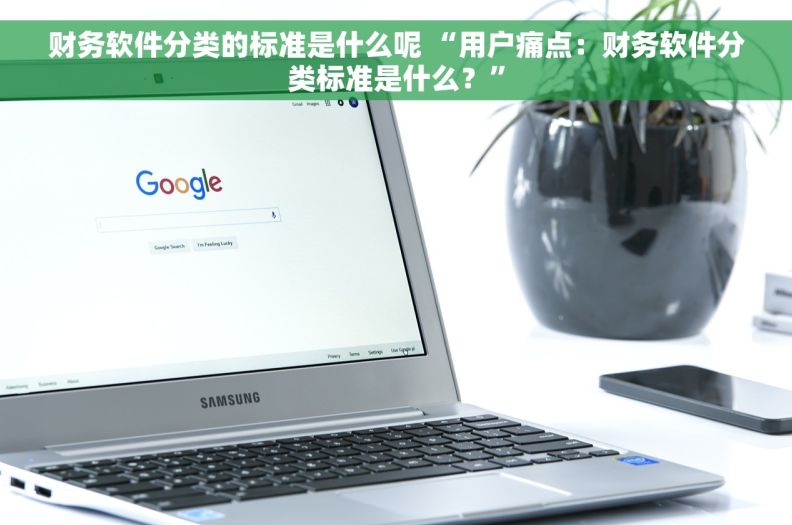 财务软件分类的标准是什么呢 “用户痛点：财务软件分类标准是什么？”