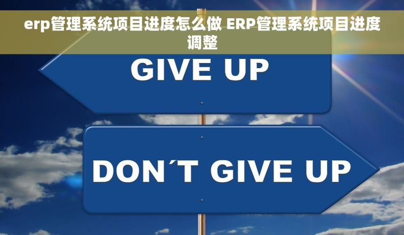 erp管理系统项目进度怎么做 ERP管理系统项目进度调整