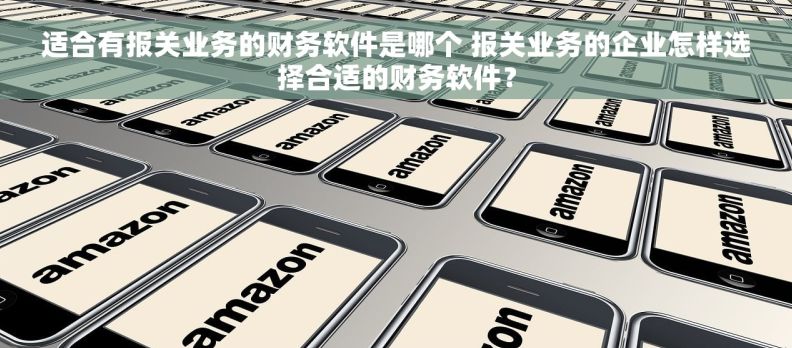 适合有报关业务的财务软件是哪个 报关业务的企业怎样选择合适的财务软件？