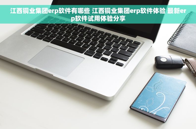 江西铜业集团erp软件有哪些 江西铜业集团erp软件体验 最新erp软件试用体验分享