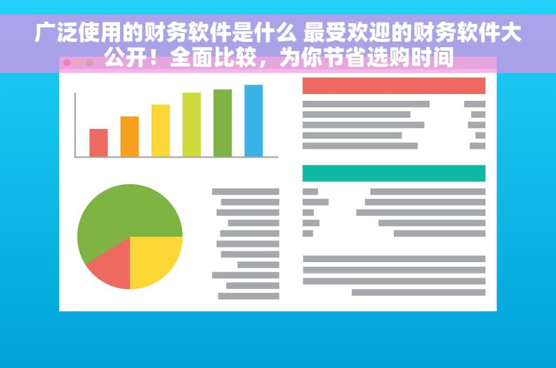 广泛使用的财务软件是什么 最受欢迎的财务软件大公开！全面比较，为你节省选购时间