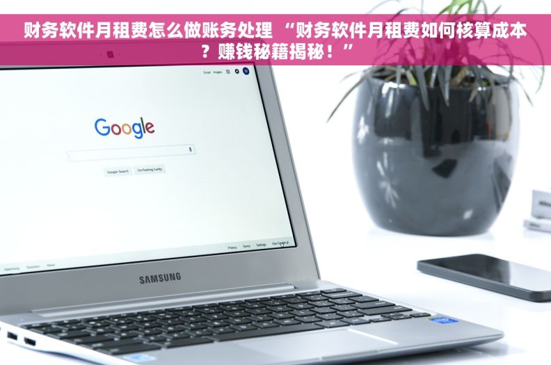 财务软件月租费怎么做账务处理 “财务软件月租费如何核算成本？赚钱秘籍揭秘！”