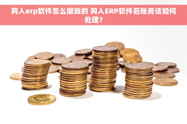 购入erp软件怎么做账的 购入ERP软件后账务该如何处理？