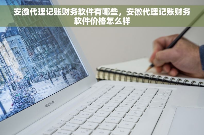 安徽代理记账财务软件有哪些，安徽代理记账财务软件价格怎么样