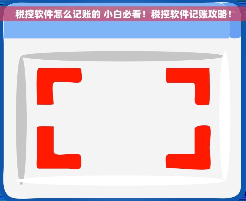 税控软件怎么记账的 小白必看！税控软件记账攻略！