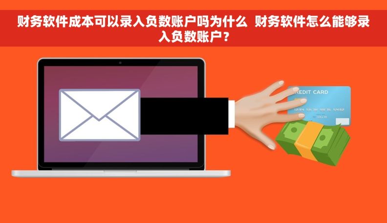 财务软件成本可以录入负数账户吗为什么  财务软件怎么能够录入负数账户？