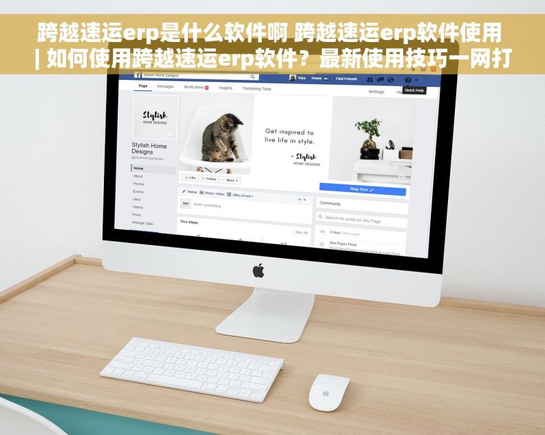 跨越速运erp是什么软件啊 跨越速运erp软件使用 | 如何使用跨越速运erp软件？最新使用技巧一网打尽