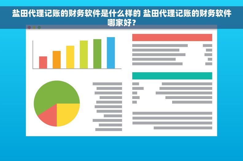 盐田代理记账的财务软件是什么样的 盐田代理记账的财务软件哪家好？