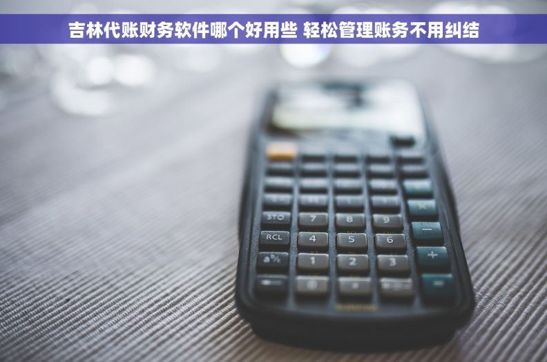 吉林代账财务软件哪个好用些 轻松管理账务不用纠结