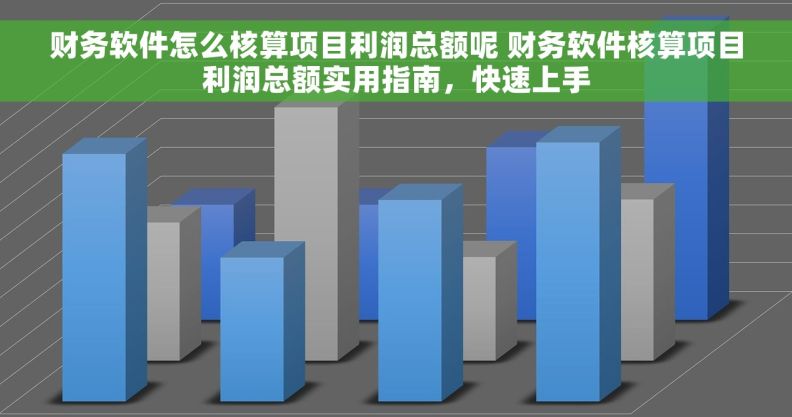 财务软件怎么核算项目利润总额呢 财务软件核算项目利润总额实用指南，快速上手