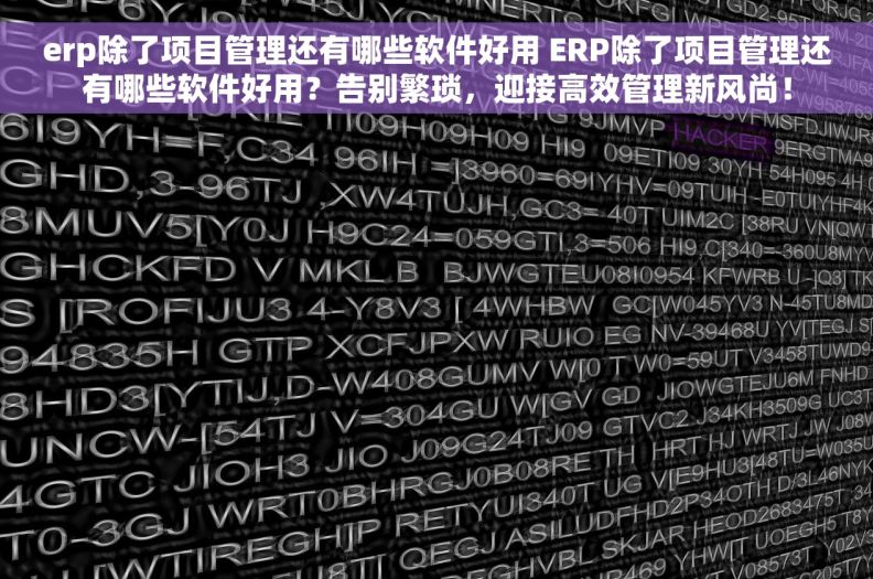 erp除了项目管理还有哪些软件好用 ERP除了项目管理还有哪些软件好用？告别繁琐，迎接高效管理新风尚！