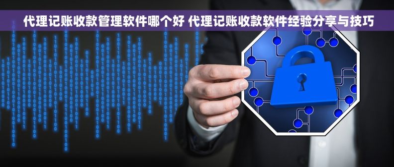  代理记账收款管理软件哪个好 代理记账收款软件经验分享与技巧